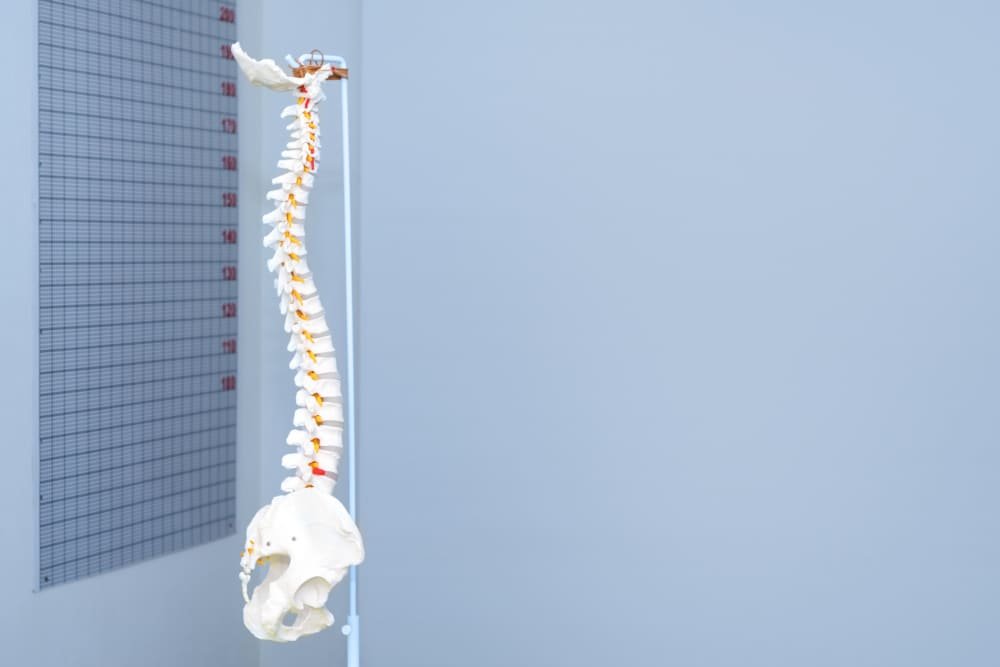 <strong>Cirugía de columna sin gastar mucho en CDMX</strong>