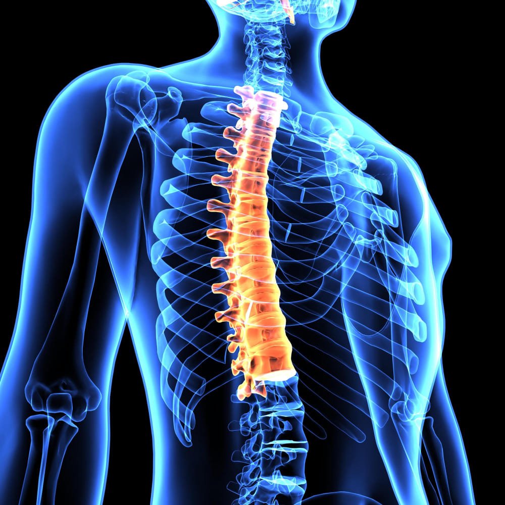 Encuentra un <strong>hospital accesible para escoliosis en CDMX</strong>