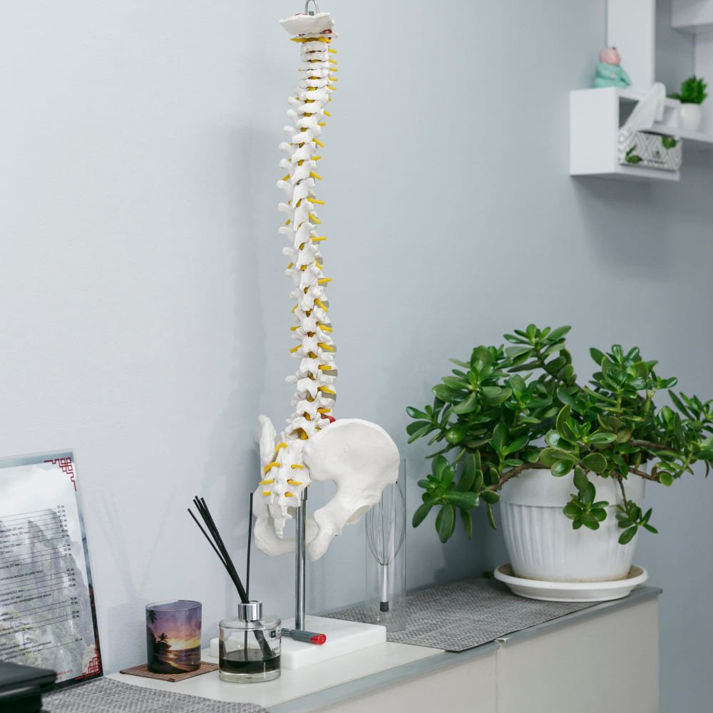 Conoce el <strong>hospital especializado en columna en CDMX</strong>